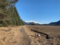 Water and mountain view’s in charming Juneau