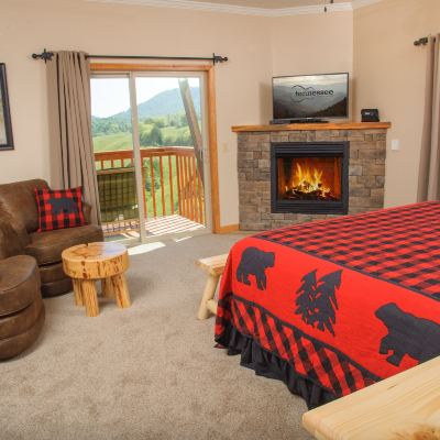 Buffalo Springs (Fireplace with Balcony) Berry Springs Lodge Promo Code
