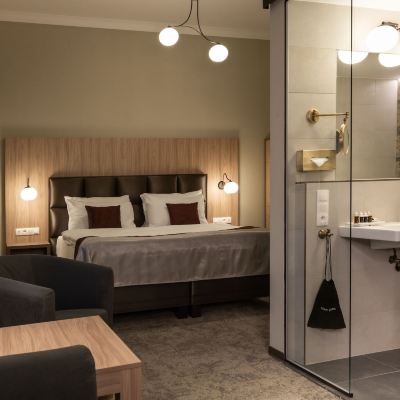 Executive Room With SPA Access Efi Spa Hotel Promo Code