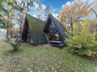 Woodland Bungalow w/ BBQ Hotels in Stramproy