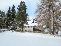 Blechnerhof Ξενοδοχεία στην πόλη Feldberg