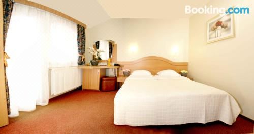 豪华双人或双床房