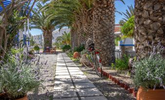 a paved walkway lined with palm trees and bicycles , leading to a building in the background at Syros Atlantis