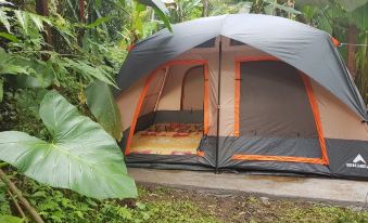 Bali Camping