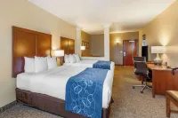 Comfort Suites Near Denver Downtown