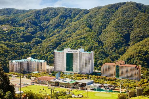 비발디파크
