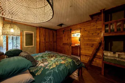 Matumi Trail Forest Lodges - Matumi and Mitzeeri Hotels in 