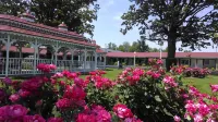 Murray Inn and Art Gallery Hotels in 