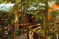 Vista do Lago Jungle Lodge Hotele w: 