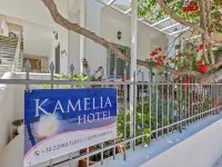 Kamelia Hotel Hotels in Spetses