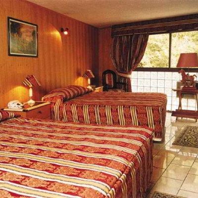 Standard Double Room Windsor Suites Hotel Promo Code