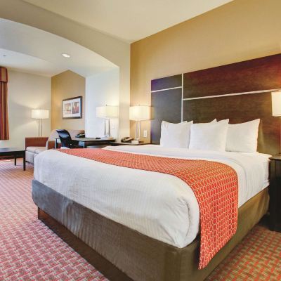 Deluxe King Room-Non-Smoking La Quinta by Wyndham Denver Gateway Park Promo Code