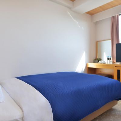 プレミアムフロア スタンダードシングルルーム-禁煙 ホテルニューガイア オームタガーデン クーポン