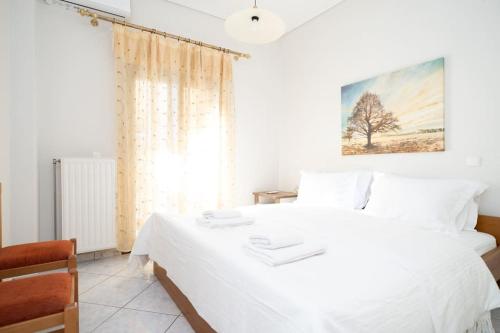 高级两卧室公寓