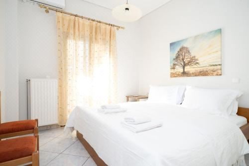 高级两卧室公寓