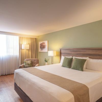Standard King Room Stanza Hotel Promo Code