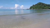Cashewnut Tree Resort