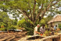 Musangano Lodge Hotels in 