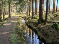 Moderne, Zentrale Wohnung mit Viel Komfort Hoteles en Upper Harz