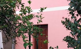 L'Agrifoglio di Emy - Housity