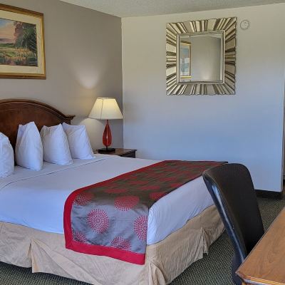 One-Bedroom King Suite - Non-Smoking Ramada by Wyndham & Suites Warner Robins Promo Code