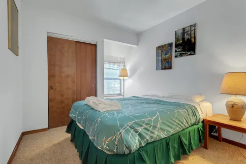 Year Round Condo- Sleeps 5! - Tamarack #17