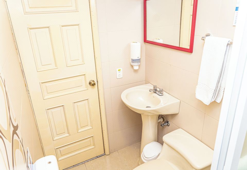 标准单人房， 1 张单人床， 无烟房， 庭院景观