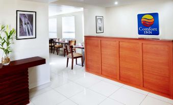 Comfort Inn Real San Miguel - Housity