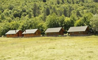a group of small wooden houses with green roofs are lined up in a field at Farma Sotira