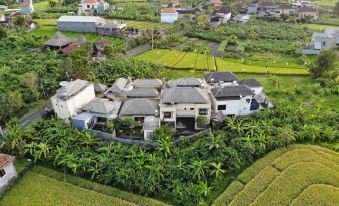 The Dewi Villa Canggu