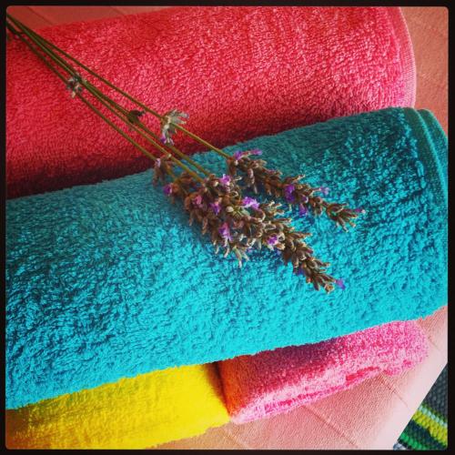 带露台的双人房