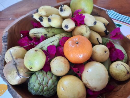 别墅（带独立泳池）