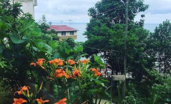 Yesil Vadi Apart Otel - Housity