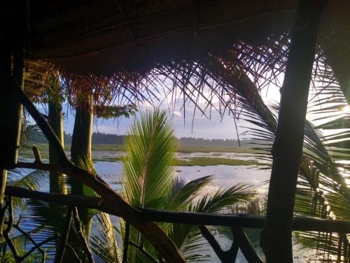 带湖景的双人间