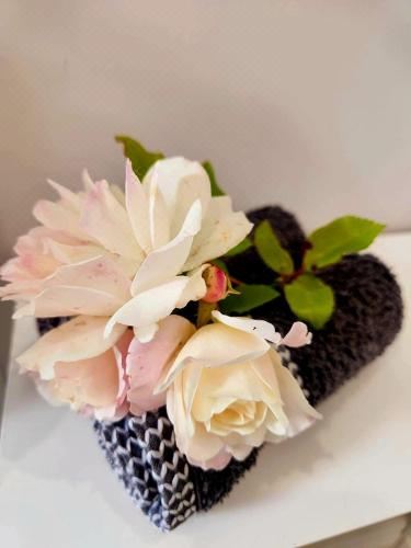 Petite on Regent Studio Apartment