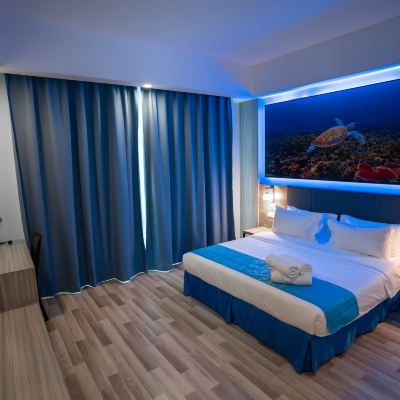 Deluxe King Studio With Sofa Bed-Non-Smoking Hotel 17 Promo Code