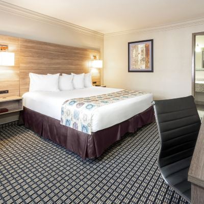 特大床套房-行動無障礙-無煙 華美達休斯頓洲際機場南酒店優惠