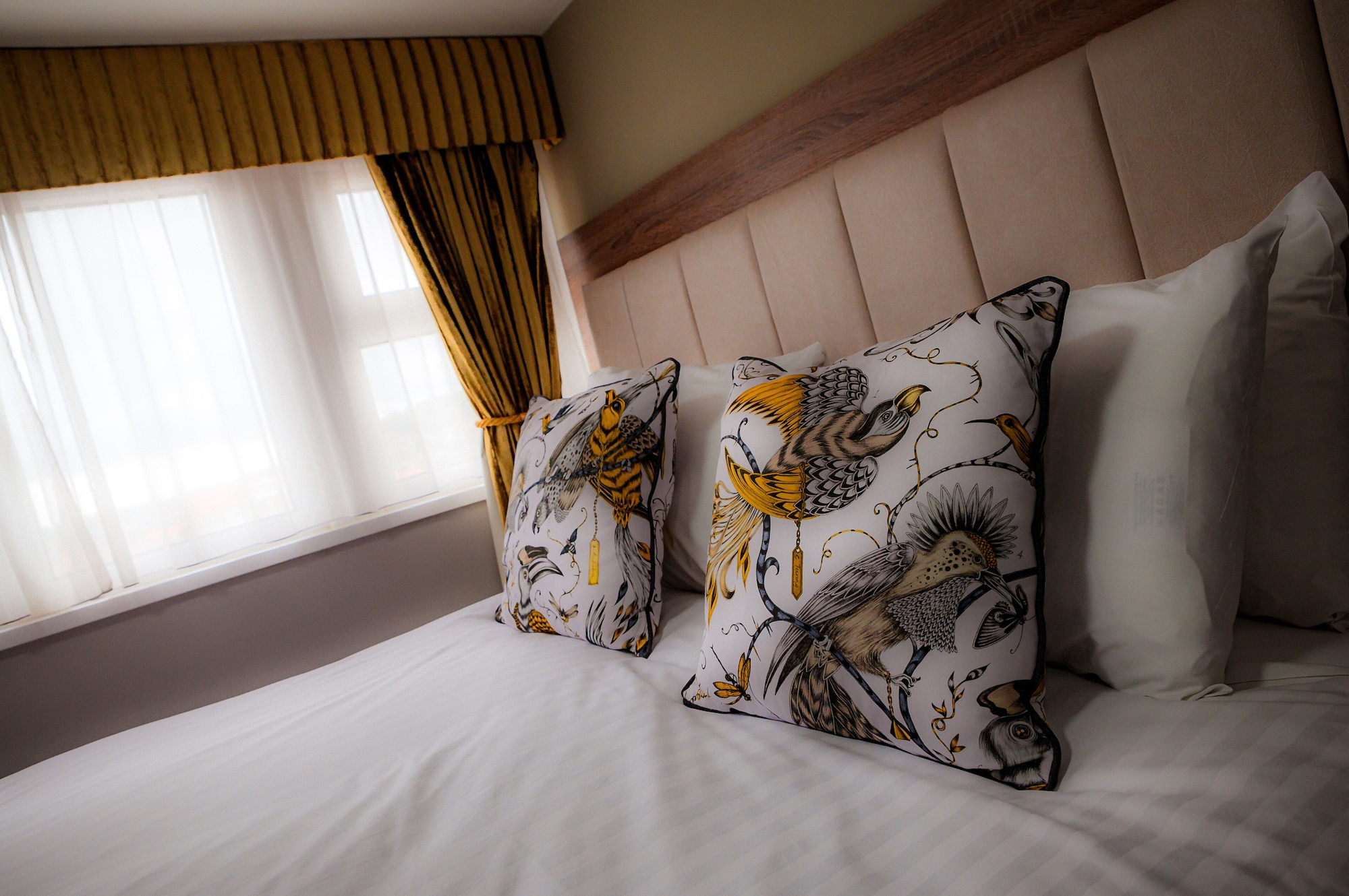 经典双人间或双床间， 1张特大床， 城市景观