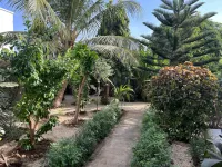 Bine Bassile โรงแรมใน
