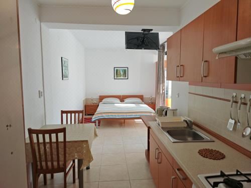 Apartment Paladin One-Bedroom Apartment