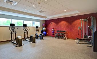 a well - equipped gym with various exercise equipment , including treadmills and weight machines , in a spacious room at Home2 Suites by Hilton Walpole Foxboro