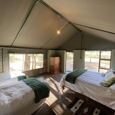 Family Tent, 1 Bedroom