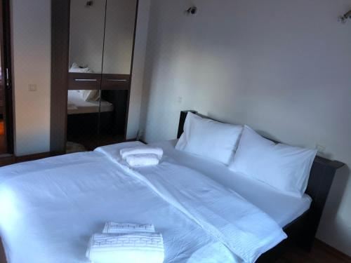 家庭套房 - 带阳台