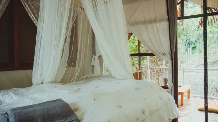 Tent for 2 Adults with Fan (Private Bathroom)