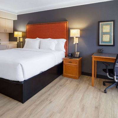 Executive King Room La Quinta Inn and Suites Promo Code