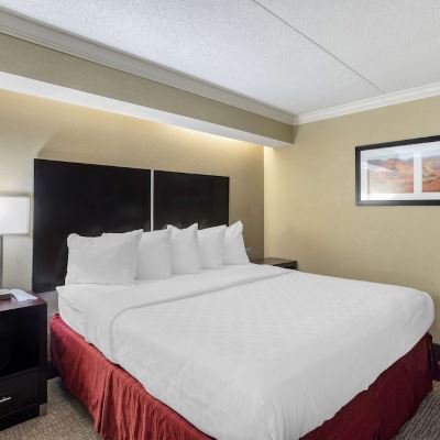 Suite-1 King Bed, Non-Smoking, Living Room, Sofabed, High Speed Internet Access, Microwave and Refrigerator