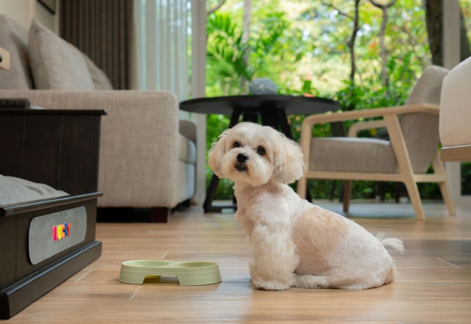 Hyatt Regency Hua Hin2 Twin Beds Pet Friendly Deluxe