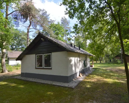 Completely Detached Bungalow in a Nature Filled Park by a Large Fen Hotels in Stramproy
