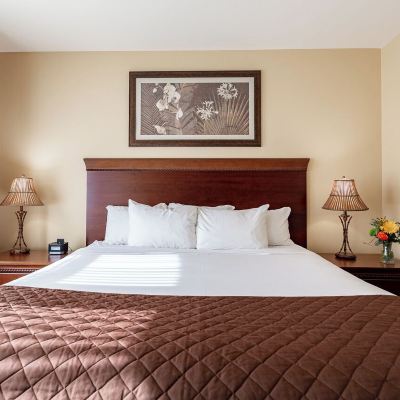 Premier Suite, Mobility Accessible, Non Smoking Jefferson Street Inn, a Member of Radisson Individuals Promo Code