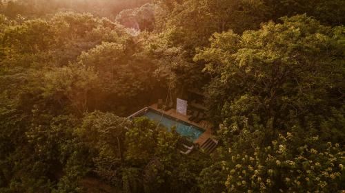 别墅（带独立泳池）